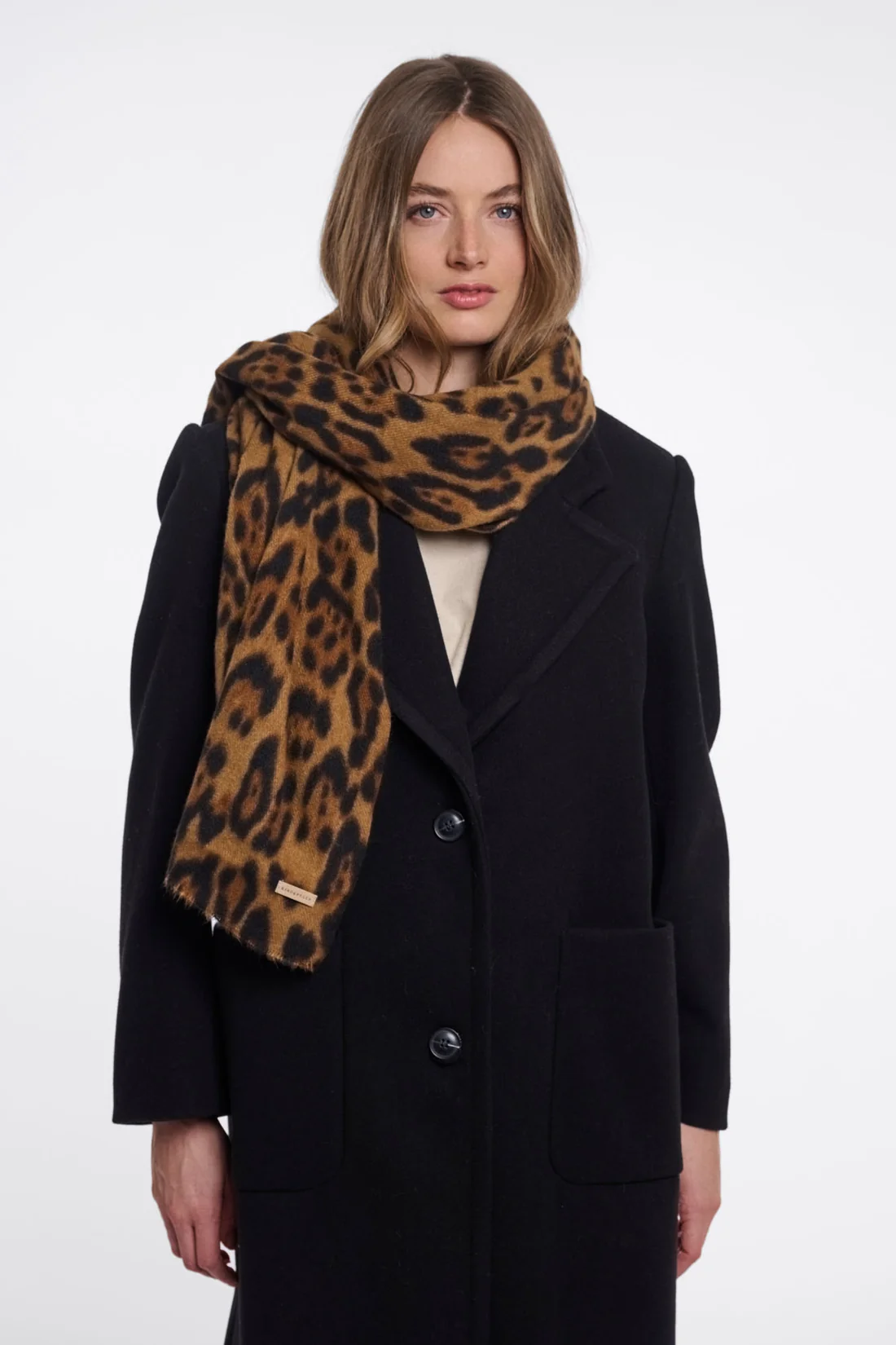 Hutton.7002611_Leopard_01